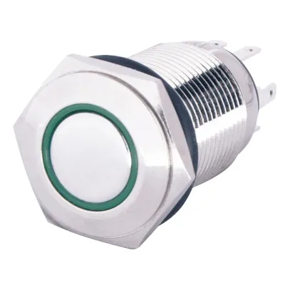 Кнопка металева пласка з підсвічуванням, 1NO+1NC, TYJ 16-261 зелена  220V. (A0140010093)