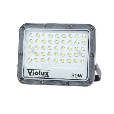 Прожектор LED Violux CARBON 30W 5000K 3600lm IP65 (400152)