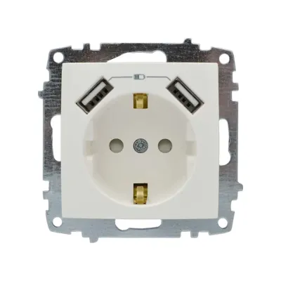 Розетка ELBI ZENA біла 1-на з заземленням + 2USB без рамки (609-010200-317)